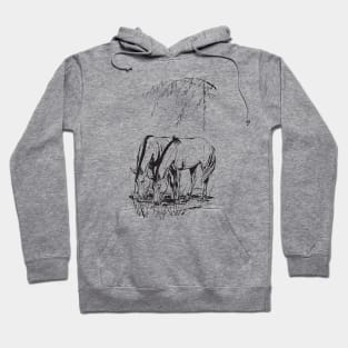 Gaucho Horses Grazing by PPereyra Hoodie